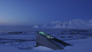 Arctic World Archive har valt Svalbard till sitt hem eftersom skärgården förklaras demilitariserad av 42 länder