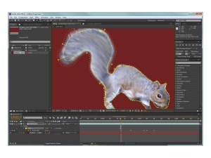 Adobe Effects CS6