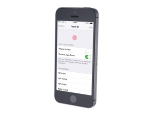 iPhone 5s