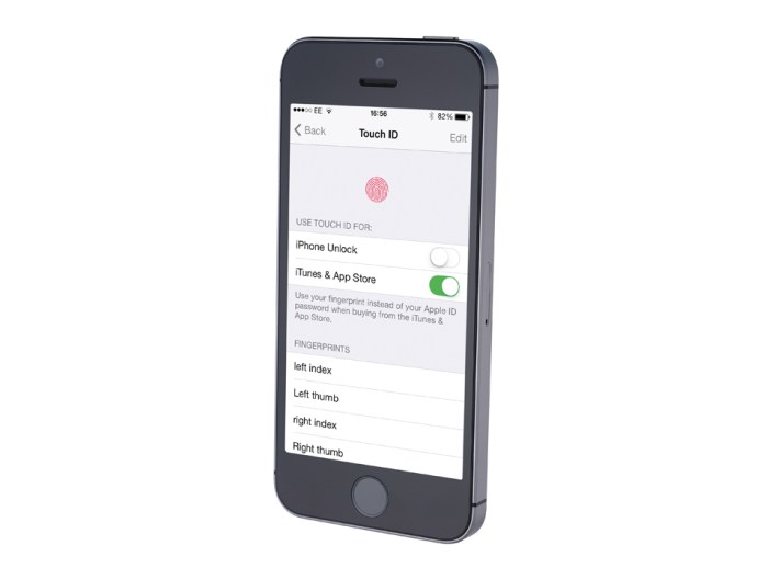 iPhone 5s