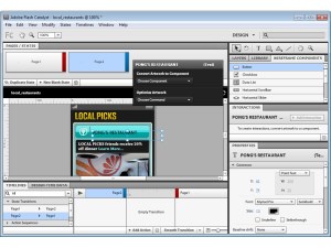 Adobe Flash Catalyst CS5