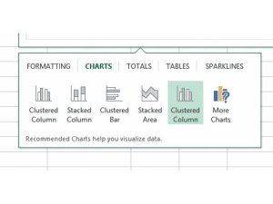 Microsoft Excel 2013 - formateringsalternativ