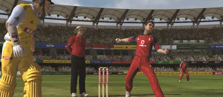 Ashes Cricket 2009 recension