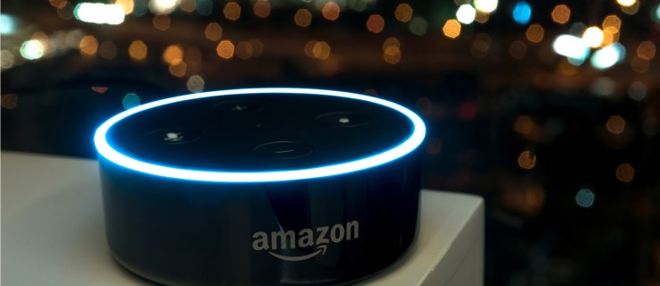 Ett Amazon Echo kommer att vara ett nyckelvittne i ett dubbelmordfall